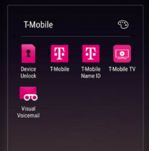 dz09 invalid sim