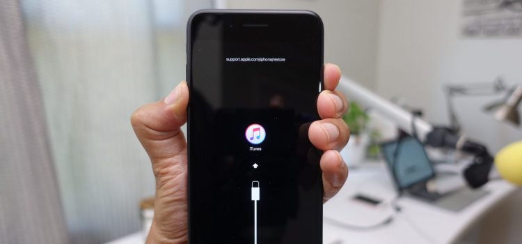Restore iPhone without updating